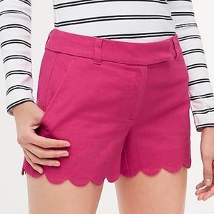 NWT- JCrew Scalloped Hem Shorts 🩳 ☀️